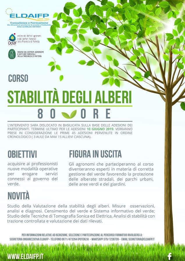 Corso STABILITA’ DEGLI ALBERI – Gestione del verde: cura e prevenzione integrata delle piante